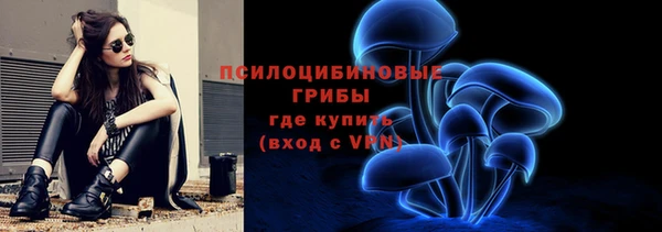 мяу мяу мука Баксан