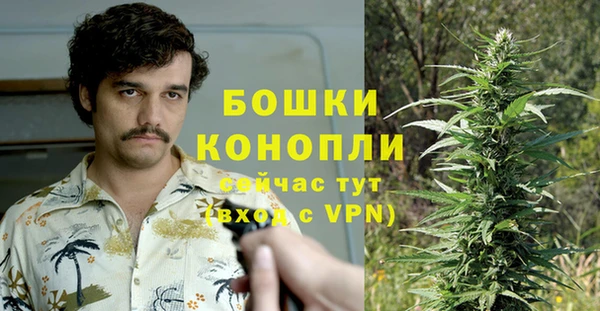 стафф Белокуриха