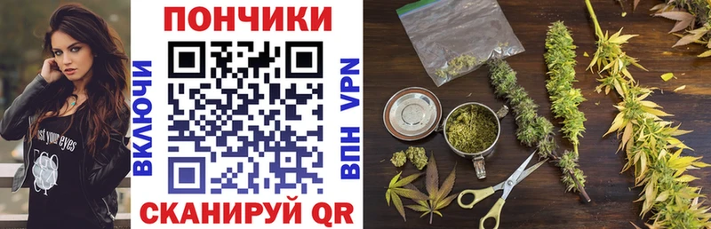 МАРИХУАНА план  Купить закладки  Фролово 